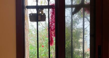 A renovated historic rock house with two vaults