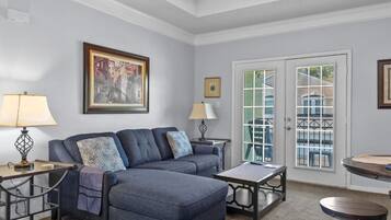 Smart TV, fireplace, books