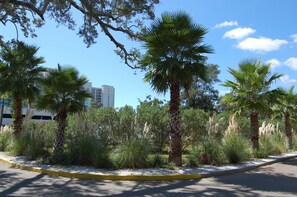 Property grounds - Legacy Villa 1503-  Tiki Retreat  Just a short walk to the Beach (Gulfport)