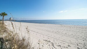 A sandy beach with footprints, a palm tree, and a building in the background.