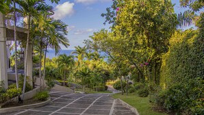 A paved pathway leading through a lush garden with palm trees and dense foliage. - Villa Belle Abri (Montego Bay)