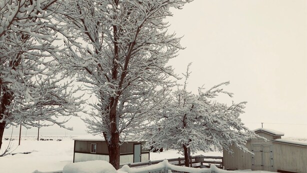 A snow-covered outdoor area with a wooden fence, a metal gate, and a building in the background. - Olancha Lakeside Camping RV Site#2 Near Mt. Whitney (Olancha)