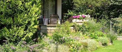Terras