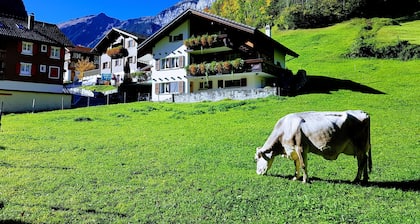 Vacation apartment in a mountain village