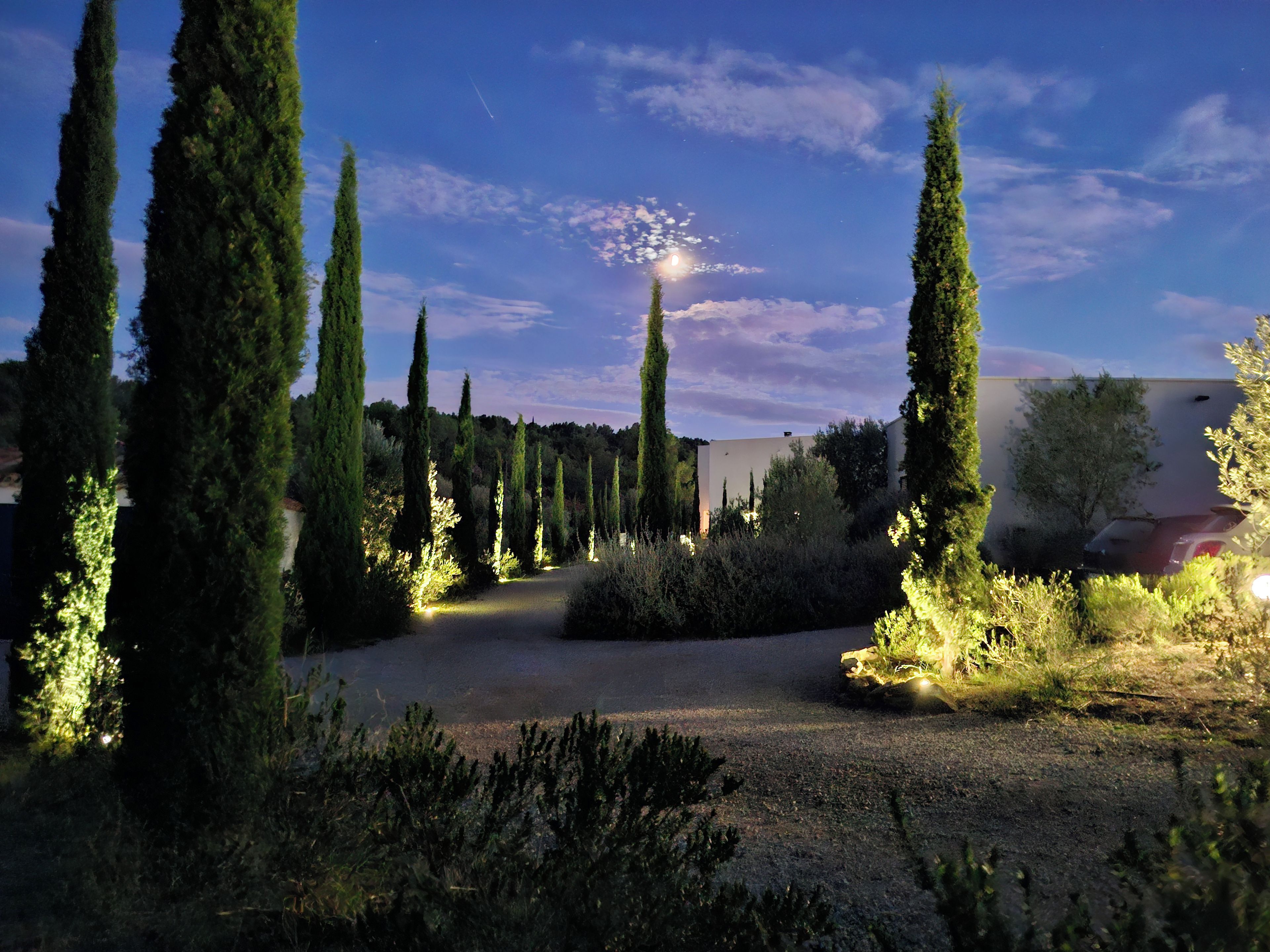 A landscaped garden with tall cypress trees and a building in the background.