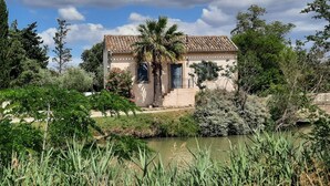 Una casa con tetto in tegole, circondata da vegetazione rigogliosa e uno stagno.