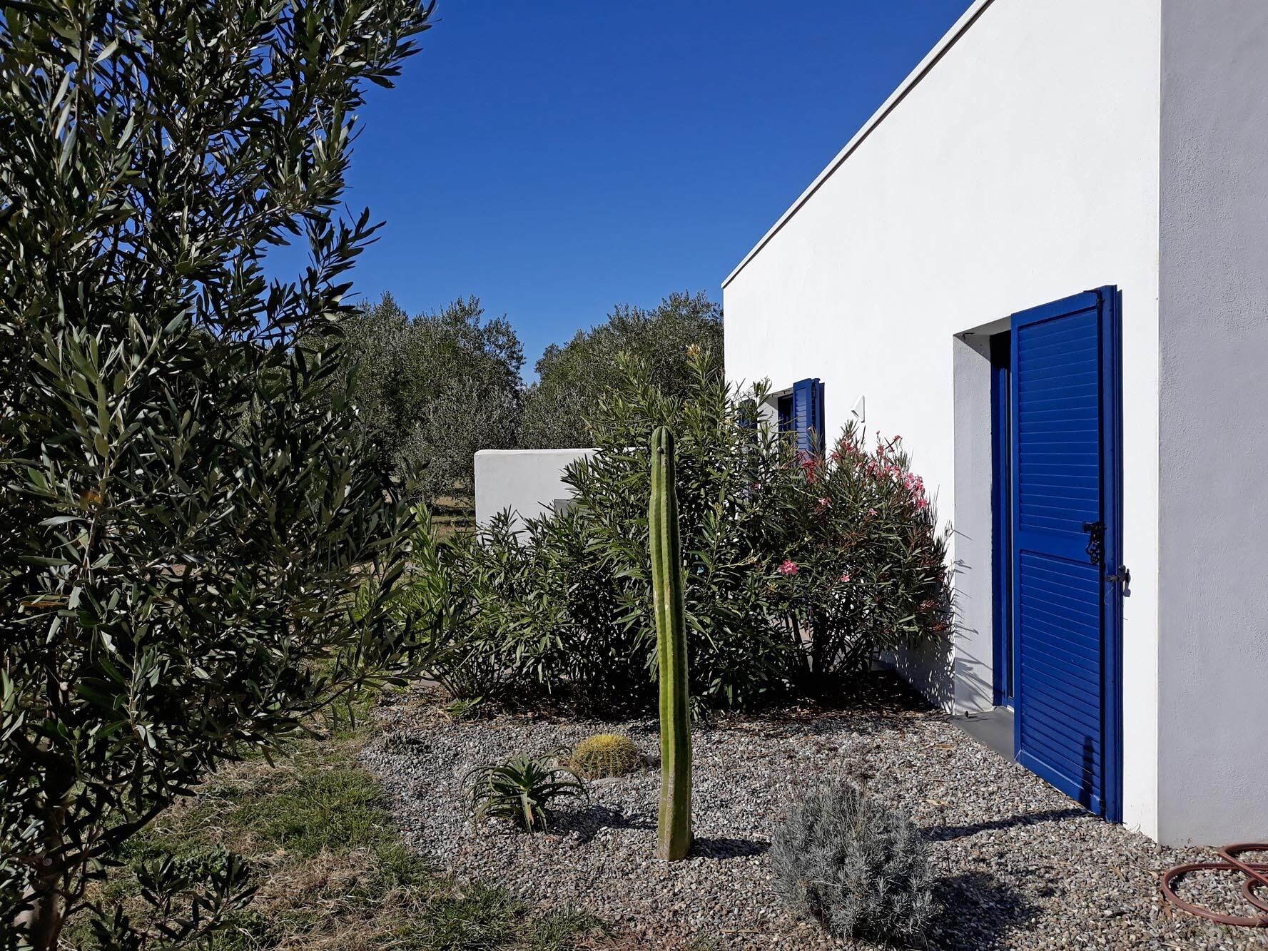 Terrein van de accommodatie