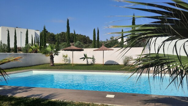 Une piscine dotée d’une terrasse carrelée, entourée de pelouse et de palmiers.