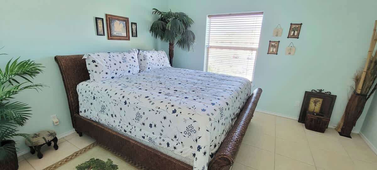 A bedroom with a bed, a potted plant, a window with blinds, and wall-mounted pictures.