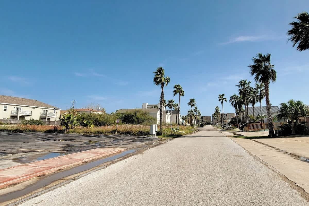 A street lined with palm trees and residential buildings.