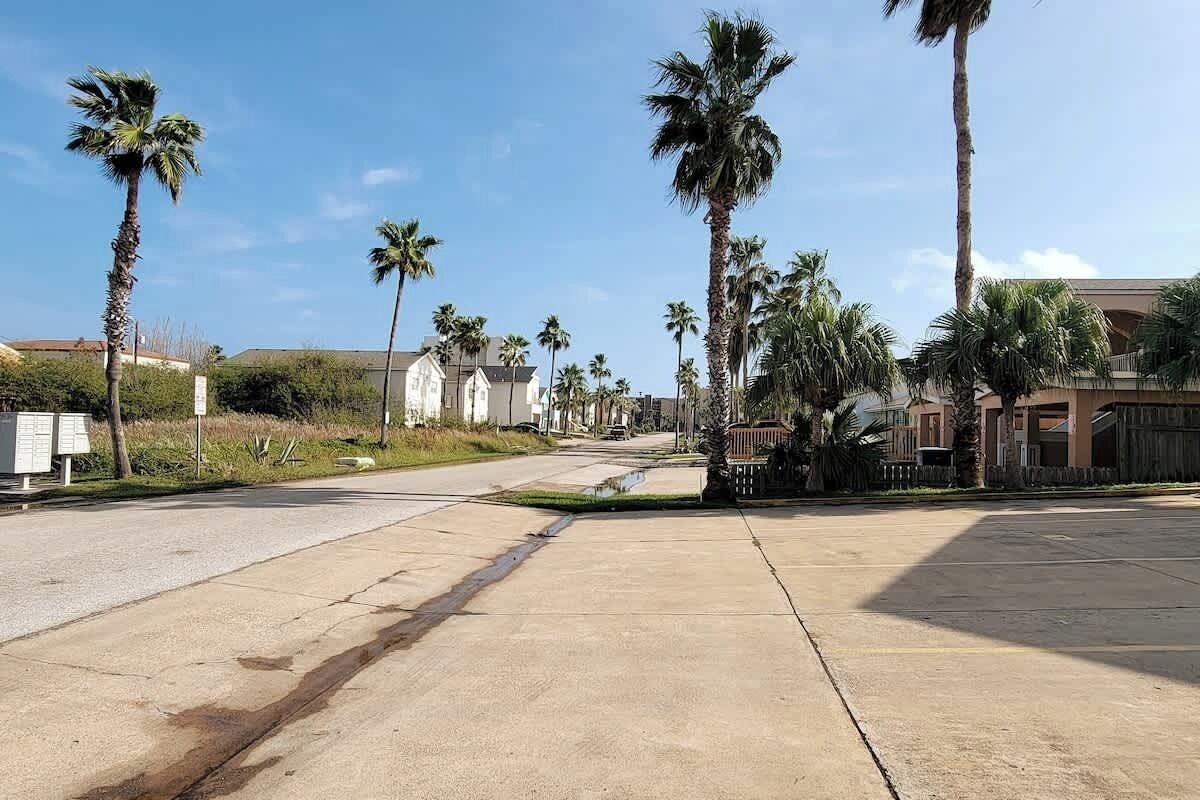 A wide, empty street lined with tall palm trees and residential buildings.