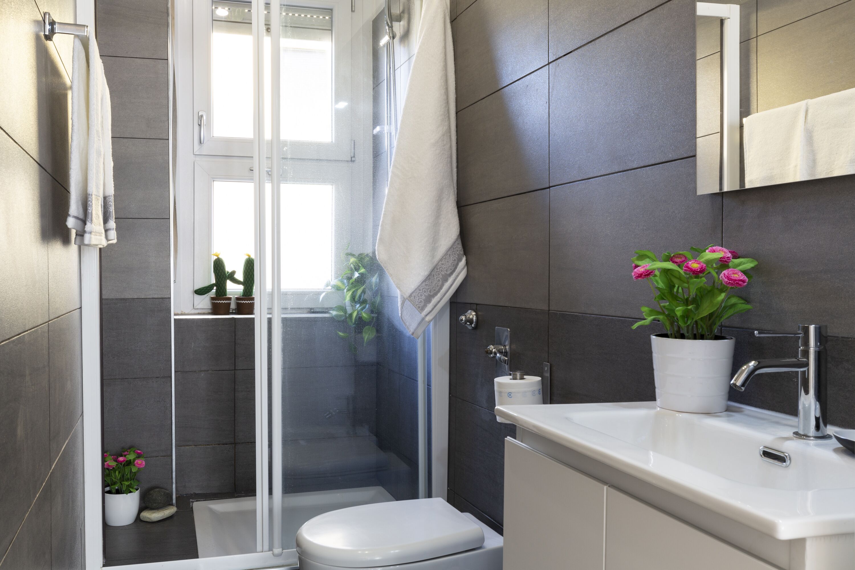 Shower, rainfall showerhead, hair dryer, bidet