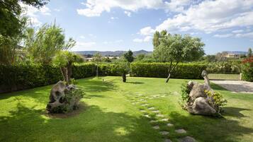 Área da propriedade