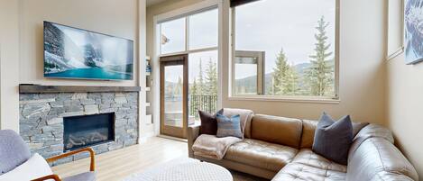 Smart TV, fireplace, books