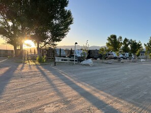 Campers can enjoy a peaceful stay amidst the trees, with easy access to cabins and RVs.