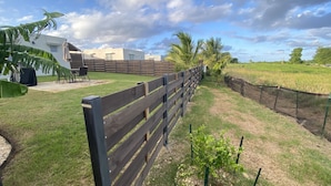 A fenced backyard with a grassy area, a small garden, and a building with a white exterior and a blue roof. - Casa Orillia's Del Mar / 7 minutes from Jobo's Beach  (Isabela)