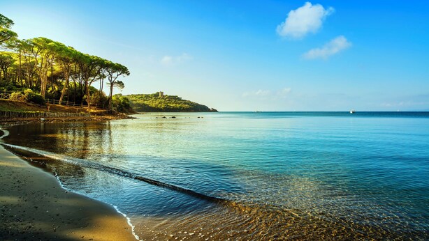A beach with clear water, trees, and a distant hill. - Villa la Sugherella Tuscany sea, swimming pools spa family golf horse gym kneipp (Gavorrano Toscana)