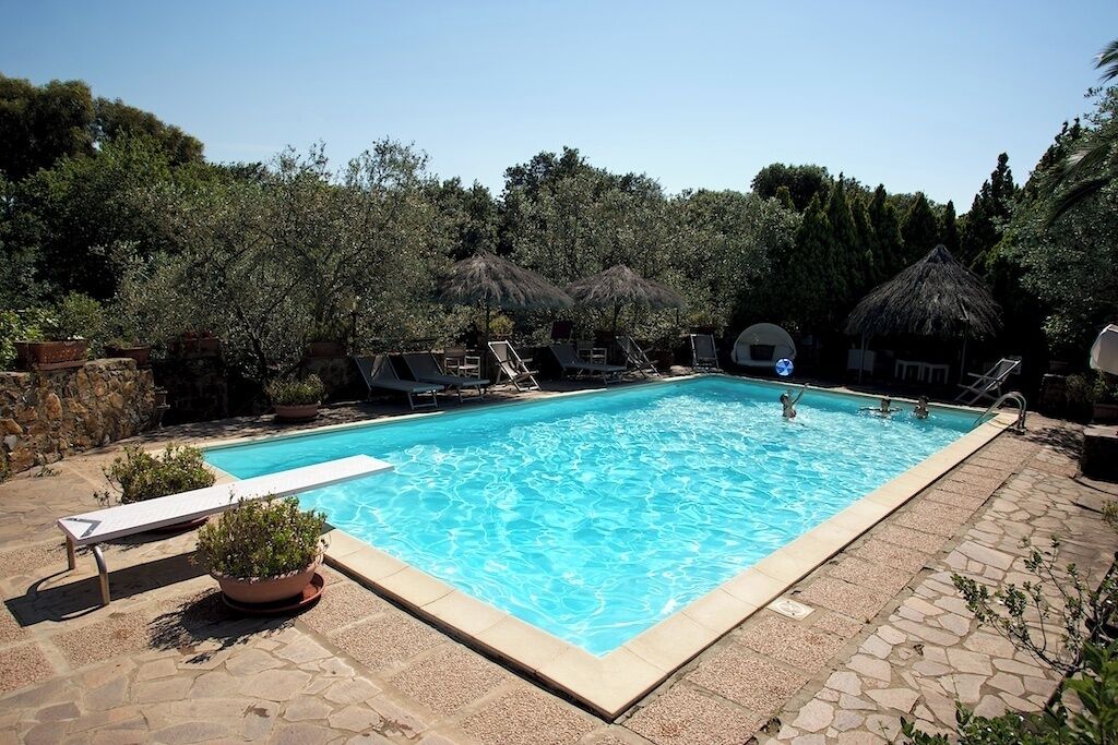 Ein rechteckiger Swimmingpool mit klarem, blauem Wasser, umgeben von Liegestühlen und Topfpflanzen.