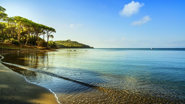 A beach with clear water, trees, and a distant hill. - Casa Laura Follonica  200 metres from the sea/beach Wifi air/condition tv/sat (Follonica)