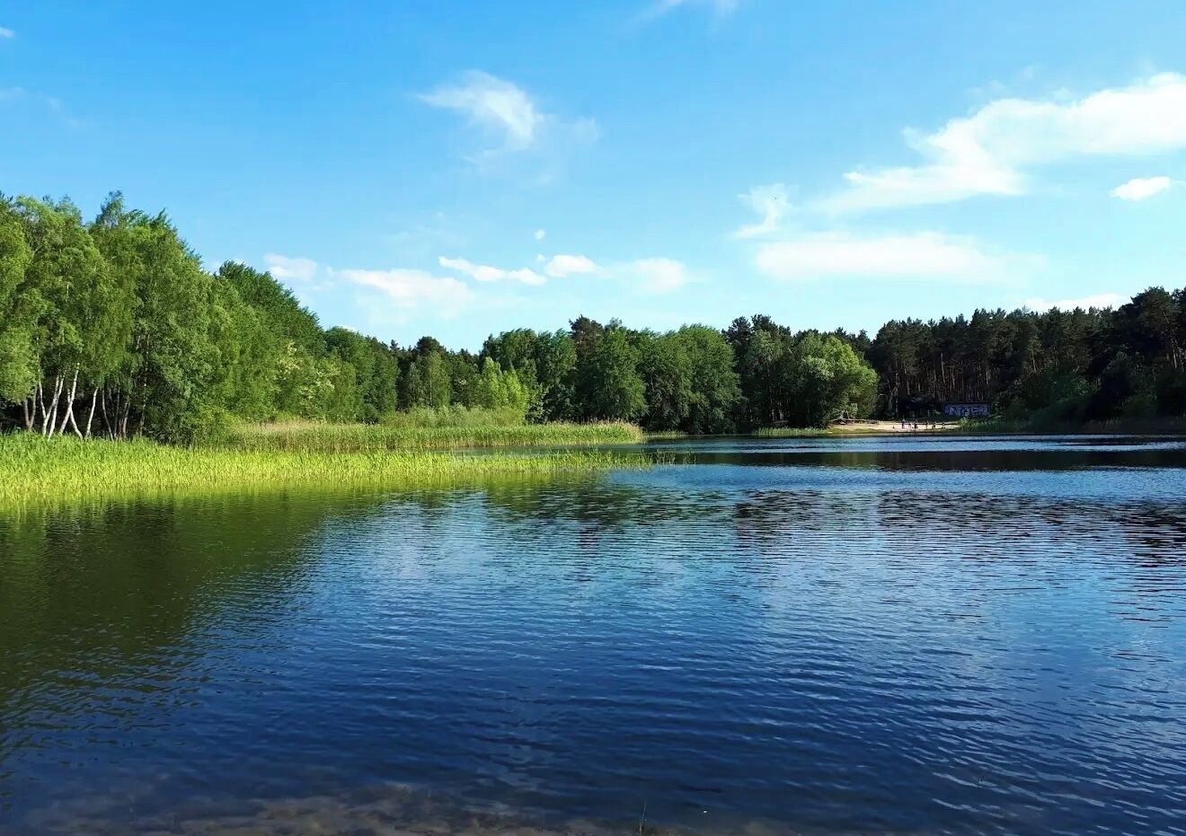 A calm lake surrounded by dense greenery and trees.