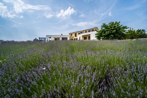 Exterior - Spiral Garden, Lavender Fields, Pool - Arkaim (Filipana)
