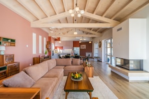 TV, fireplace, video games