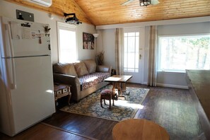 Smart TV, fireplace, books, stereo