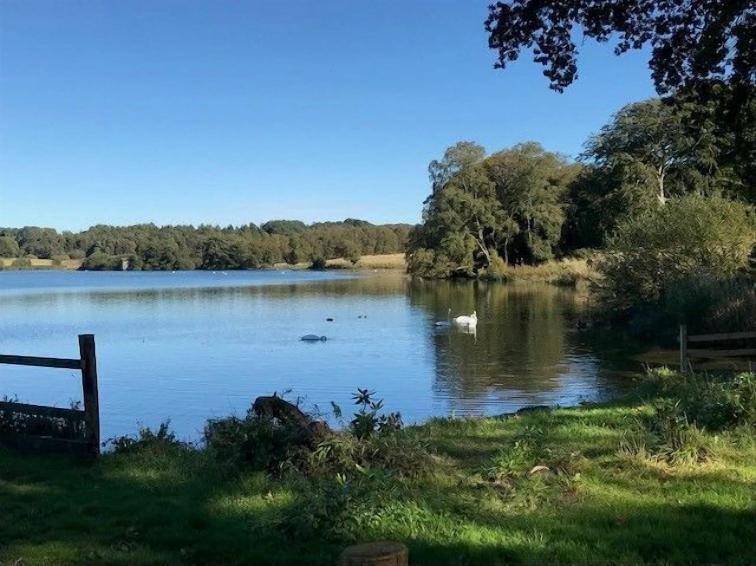 Un lago tranquilo con una cerca de madera y árboles al fondo.