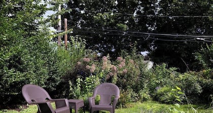 Fenced Yard, Remote Work, Laundry, UR/RIT/Strong