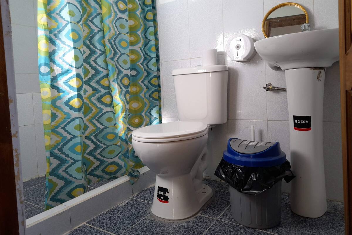 A bathroom with a toilet, a sink, and a shower curtain.