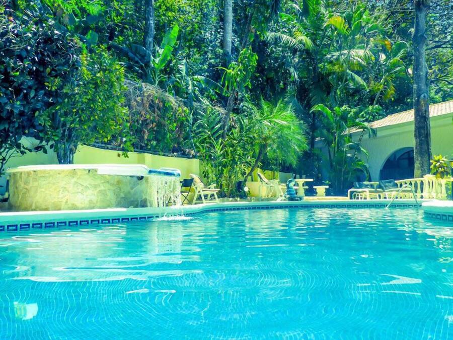 Outdoor pool, sun loungers