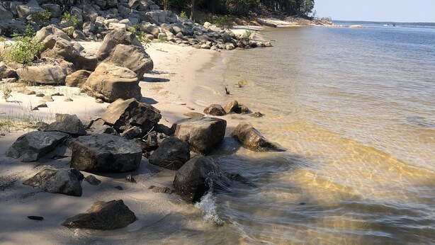 A beach with clear water, large rocks, and trees. - Lakeside cottage, water access + pet friendly with additional fee (Jasper)