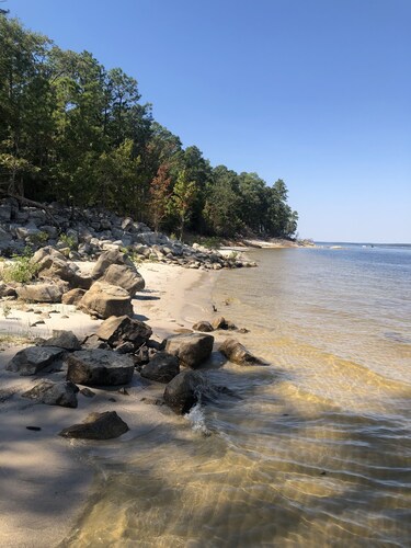Lakeside cottage, water access + pet friendly 
