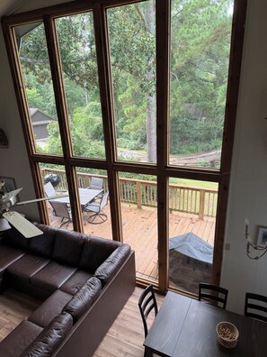 Smart TV, Netflix, DVD player, books