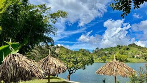 Eine friedliche Uferlandschaft mit reetgedeckten Sonnenschirmen und freiem Blick auf das Wasser.