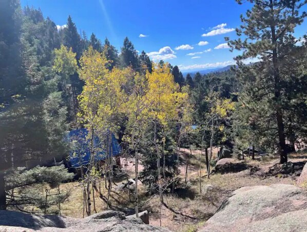 A forested area with a clear sky, rocky terrain, and a blue tarp-covered structure. - Red Door Cabin (Florissant)