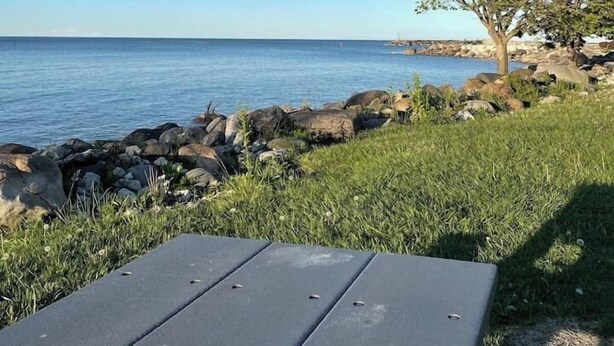 A picnic table by a rocky shoreline with a clear view of the sea. - `Bike` at Hills Meaford | 1BD Suite + Pets (Meaford)