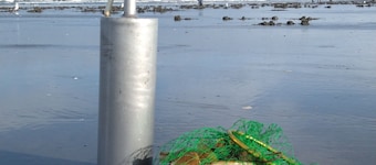 Cozy dog friendly cabin min to beach