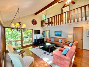 Télévision, cheminée, lecteur de DVD, livres