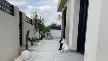 Detalle del exterior