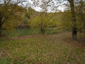 Un parque con un lago, árboles y una zona cubierta de hojas secas.
