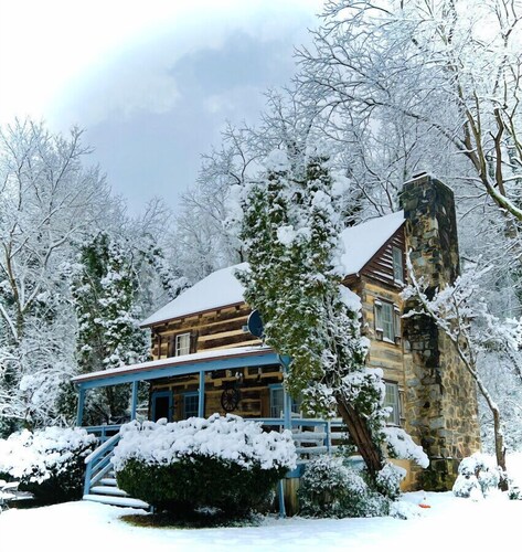 Riverfront Cabin! Fireplace, Farm, Trail & Kayaks