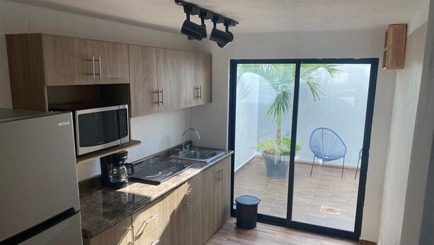 Une cuisine équipée d’un four à micro-ondes encastré, d’un évier et de meubles de rangement en bois. Une porte-fenêtre coulissante donne accès à un espace extérieur agrémenté d’une chaise et d’un pot de fleurs.