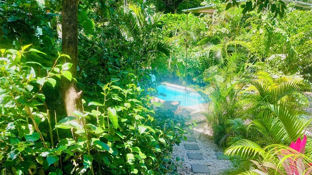Un jardín exuberante con un sendero de guijarros que lleva a una piscina.