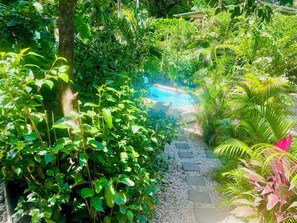 Un jardín exuberante con un sendero de guijarros que lleva a una piscina.