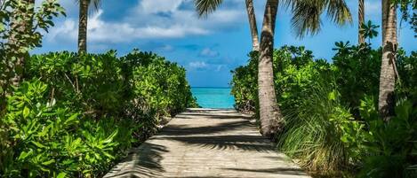 Ein hölzerner Weg führt zu einem Strand mit Palmen und üppiger Vegetation.