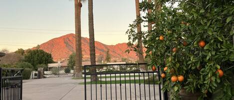 Enceinte de l’hébergement