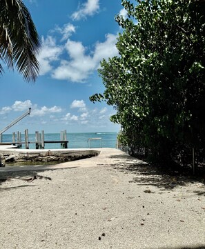 A beach with a concrete walkway leading to a dock, surrounded by dense foliage.