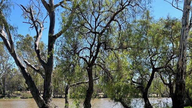 A park with a paved walkway, a bench, and trees along a body of water. - River Front Cabin (Bridgewater on Loddon)