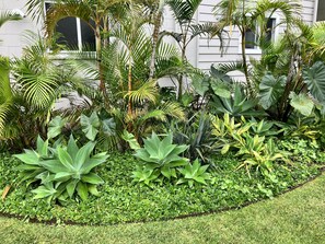 Exterior detail - The Boathouse Narrawallee - Studio & Boatshed (Narrawallee)